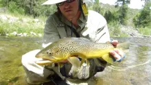 Video thumb for Utah Fly Fishing - Falcon's Ledge Lodge Promo