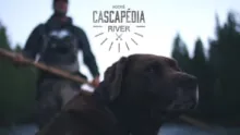 Video thumb for Hooke Cascapedia River!