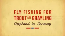 Video thumb for Trout and Grayling