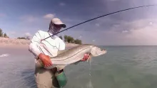 Video thumb for Sun, Sand, Snook & Surf