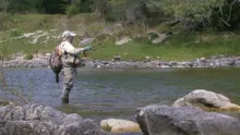 Video thumb for Wild Trout Clear Waters