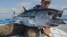 Video thumb for Bluefin Tuna on the fly, Mediterranean Fall run