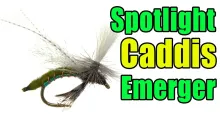 Video thumb for Spotlight Caddis Emerger