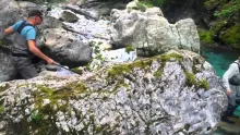 Video thumb for Brown trout from the emerald river