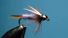 Video thumb for Purple Prince Nymph