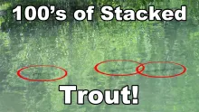 Video thumb for Electra Lake Stacked Trout