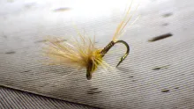 Video thumb for Paraloop Winged Dry Fly