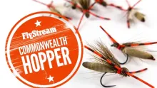 Video thumb for Commonwealth Hopper