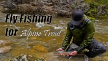 Video thumb for Fly Fishing for Alpine Trout - Taurach Vol. I