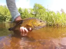 Video thumb for Hayward Fly Fishing