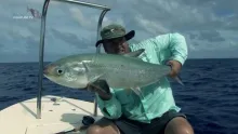 Video thumb for Alphonse Seychelles - Fighting The Mighty Milkfish