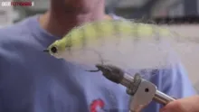 Video thumb for SF Baitfish streamer