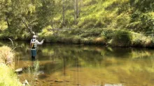 Video thumb for Fly Fishing for Australian Bass