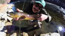 Video thumb for Fly FIshing Flaming Gorge