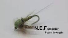 Video thumb for N.E.F.