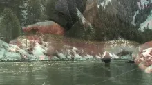 Video thumb for Wallowa Oregon Steelhead - Steelhead Train