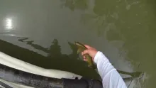 Video thumb for Fly Fishing the Chattahoochee River