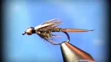 Video thumb for Hot Wire Prince Nymph