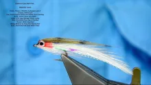 Video thumb for Small Bait Fish Pattern