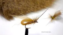 Video thumb for Tan CDC Bubble Caddis