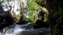 Video thumb for Fly fishing a small stream on dry fly