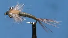 Video thumb for Deer Creek Nymph