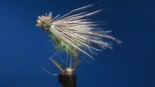 Video thumb for GSS Caddis