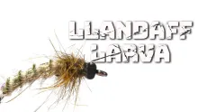 Video thumb for Llandaff Larva