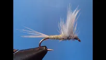 Video thumb for Blue Wing Olive