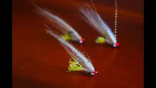 Video thumb for Gotcha! Bonefish Fly