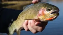 Video thumb for Fall Fishing In Missoula