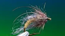 Video thumb for UV Caddis Pupa