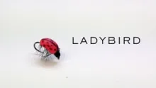 Video thumb for Ladybird