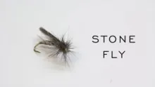 Video thumb for Stone Fly