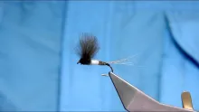 Video thumb for Large Adult CDC MayFly