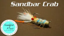 Video thumb for SandBar Crab