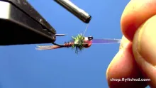 Video thumb for Tungsten Jig Flashback Pheasant Tail Nymph