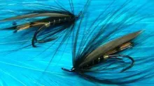 Video thumb for The Toucan Salmon Fly