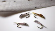 Video thumb for Grey Turkey & Pheasant Tail Nymph