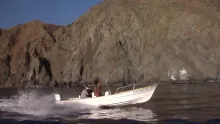 Video thumb for Baja Mexico : Fly Fishing Roosterfish 