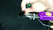 Video thumb for Deer Hair Cicada