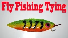 Video thumb for Baitfish