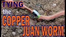 Video thumb for Copper Juan Worm