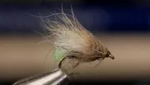 Video thumb for Egg-Laying Grannom Caddis 