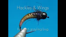 Video thumb for Hot Spot Grayling Bug