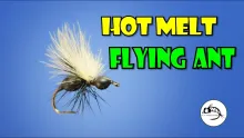 Video thumb for Flying Black Ant