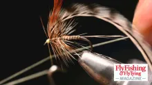 Video thumb for Beaconbeige Dry Fly