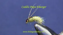 Video thumb for Caddis Pupa Emerger