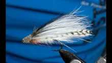 Video thumb for White marabou muddler streamer