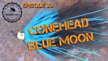 Video thumb for Cone head Blue Moon